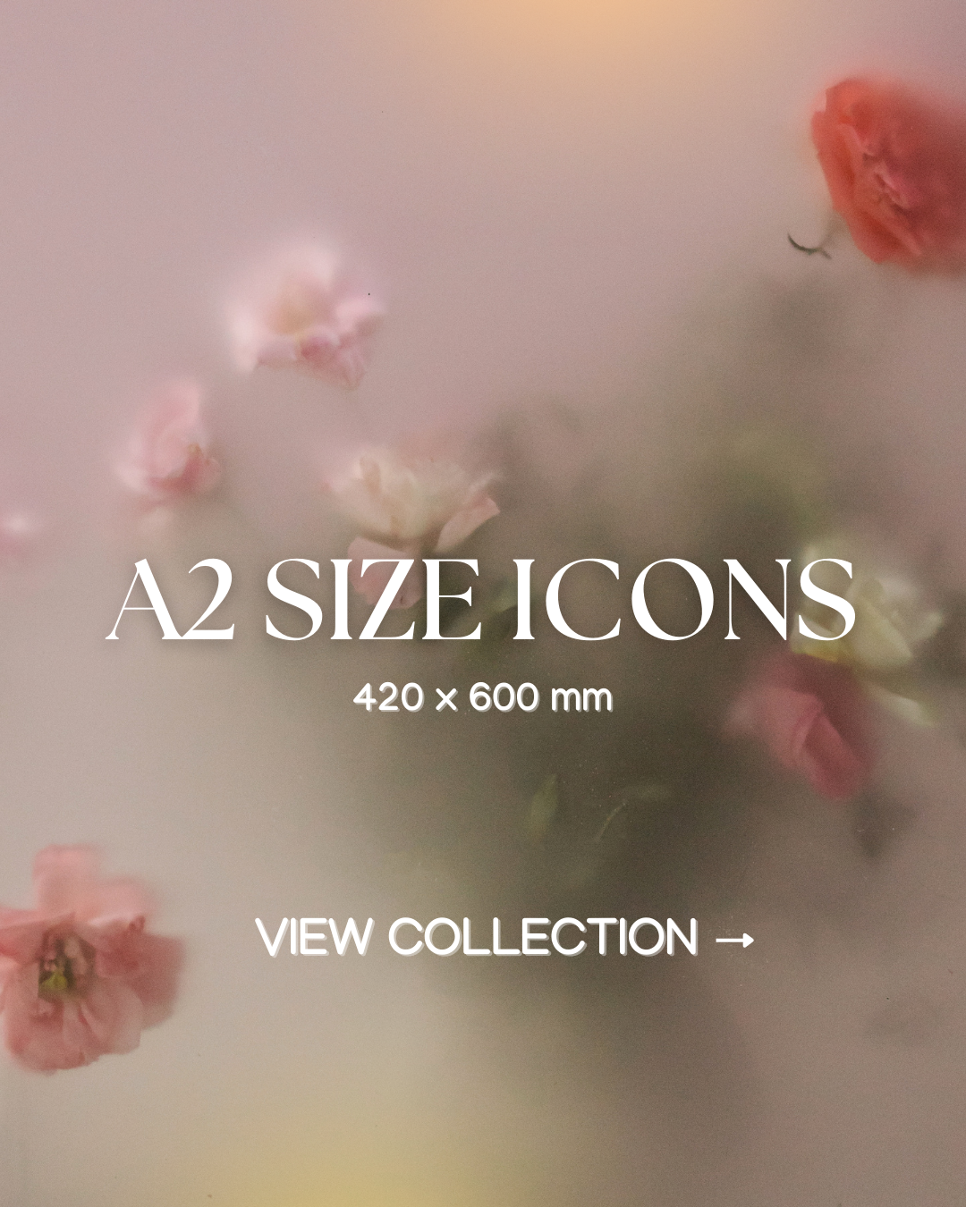 A2 RELIGIOUS ICONS