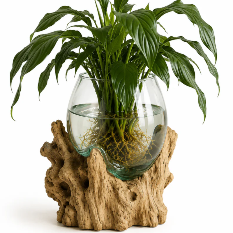 WoodenLux handcrafted molten glass vase on recycled driftwood.