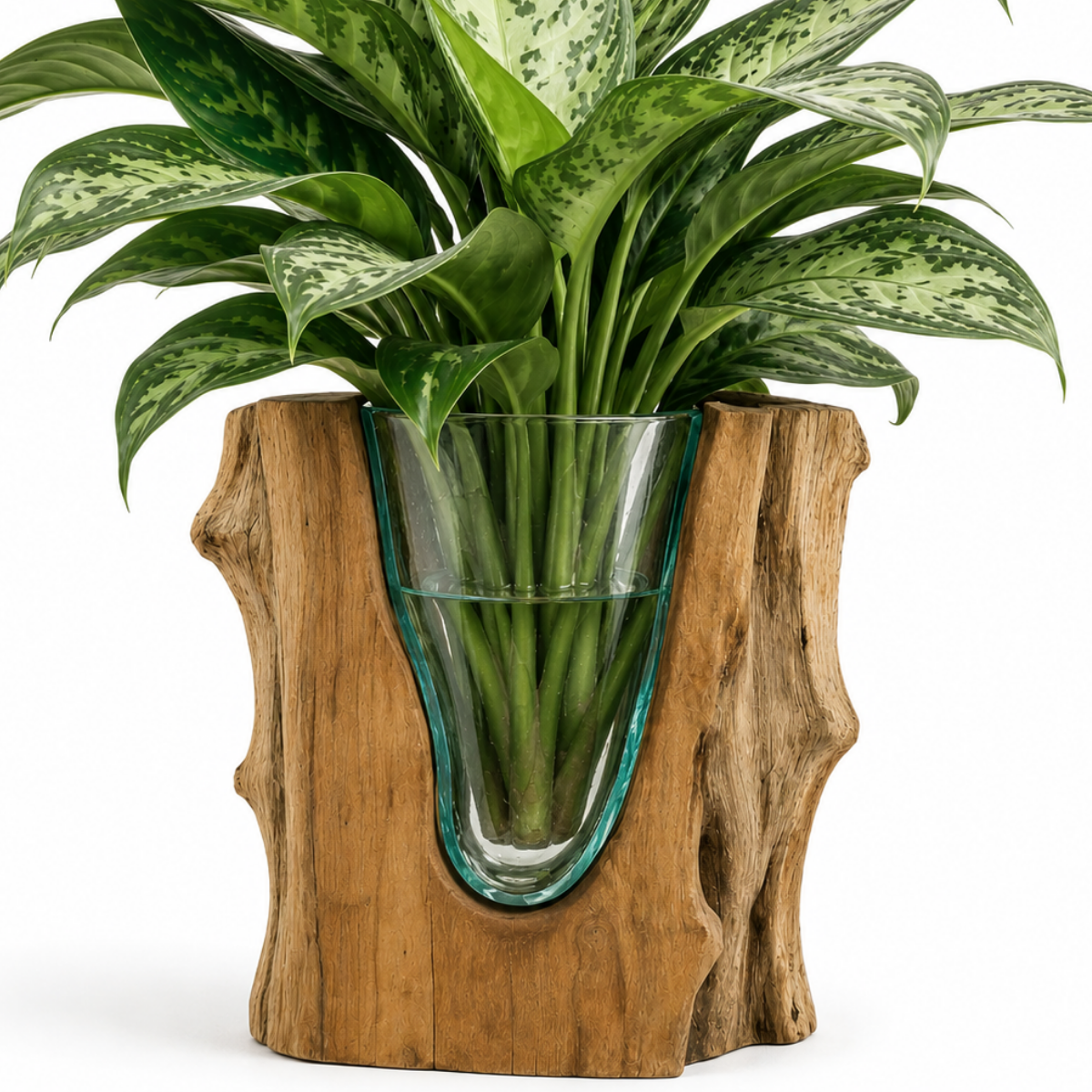 WoodenLux handcrafted molten glass vase on recycled driftwood.