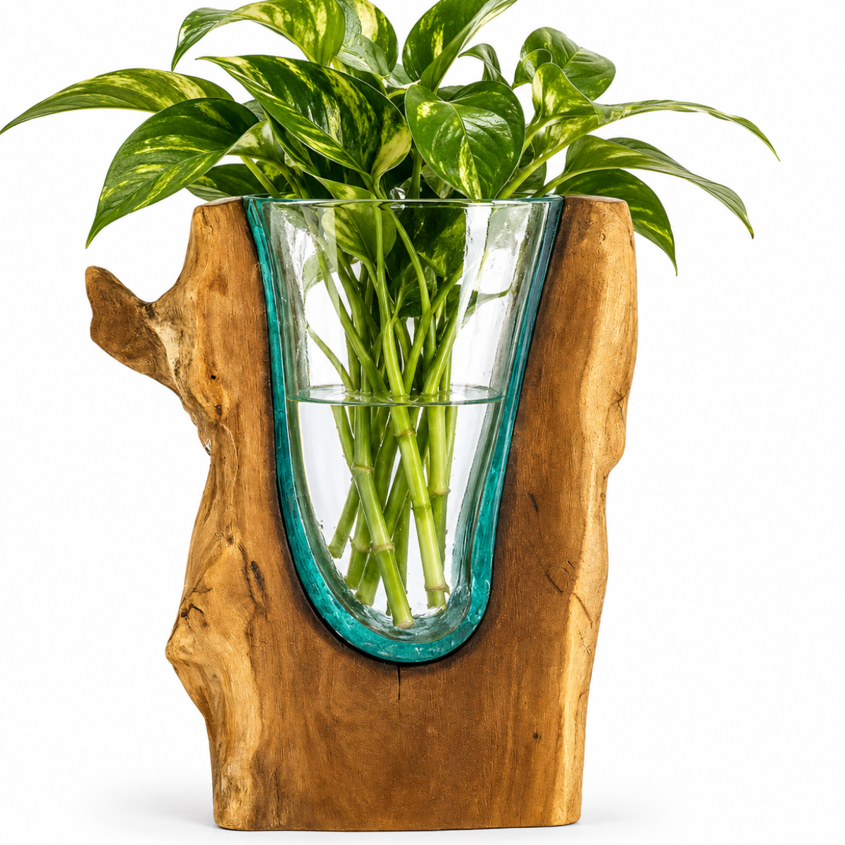 WoodenLux handcrafted molten glass vase on recycled driftwood.